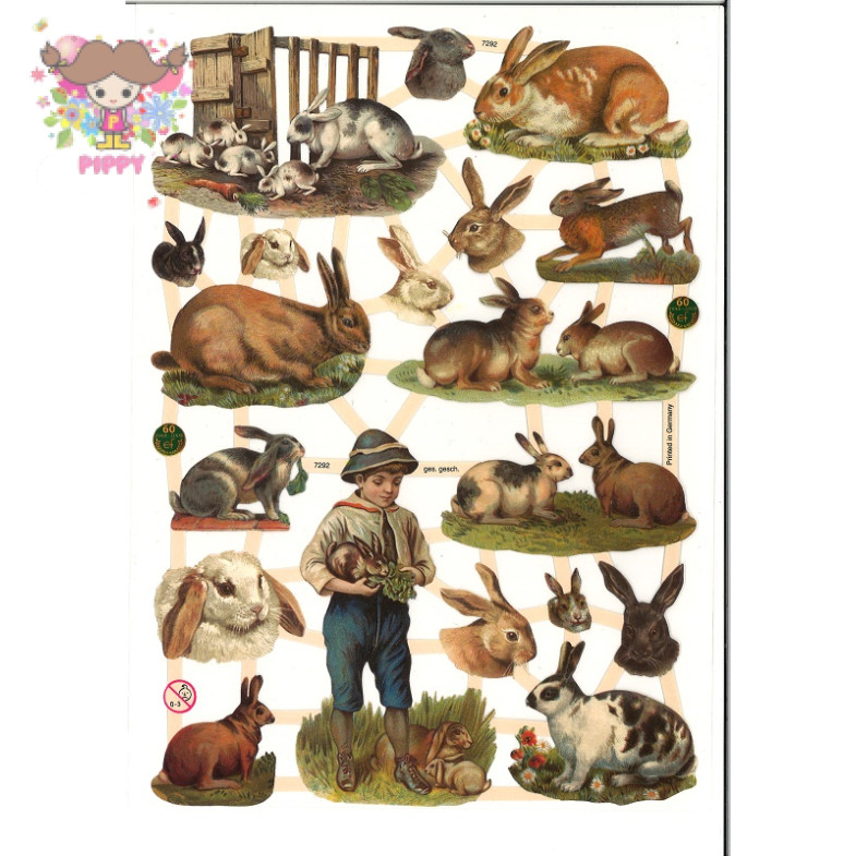 glossy pictures - Junge mit Kaninchen